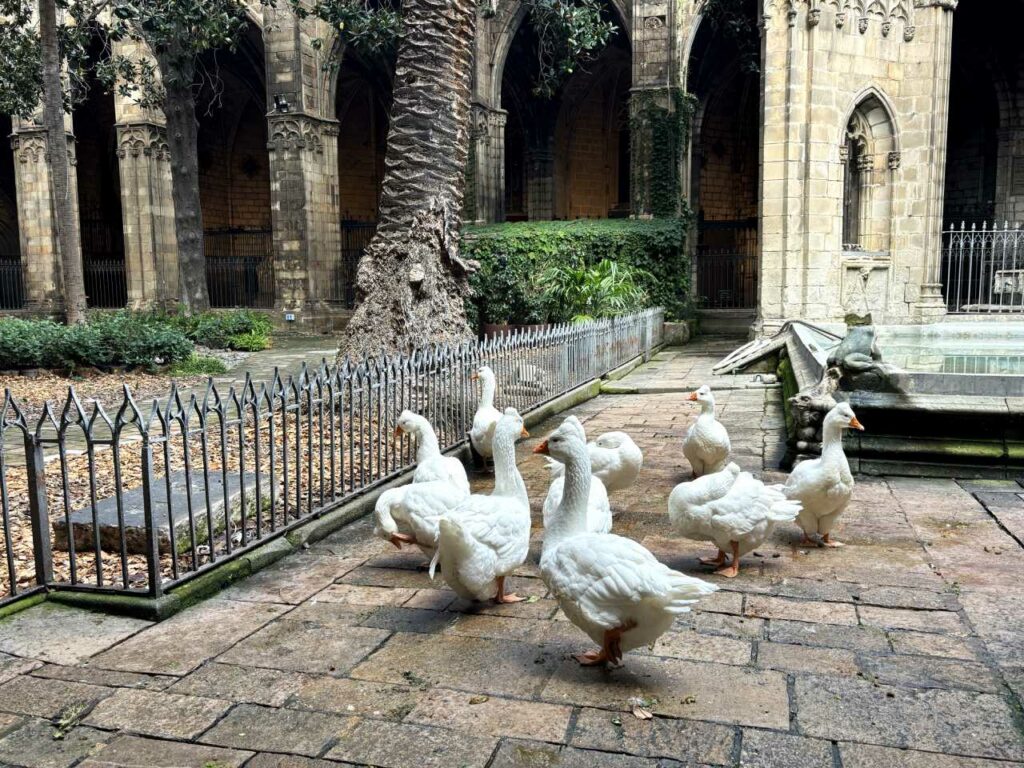 10 raisons de visiter la cathédrale de la Seu