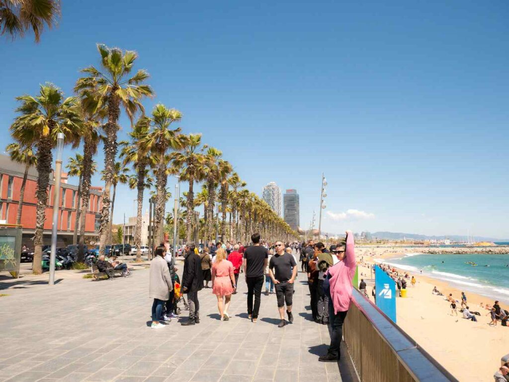 La vie à la plage à Barcelone en août La vie à la plage à Barcelone en août