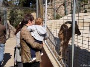 Visiter le zoo de Barcelone : infos, billets & horaires