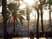 Barcelone en hiver : 15 incontournables à faire à Barcelone en hiver