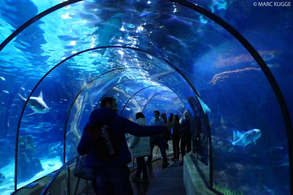 Aquarium de Barcelone: Prix, entrée, horaires & informations