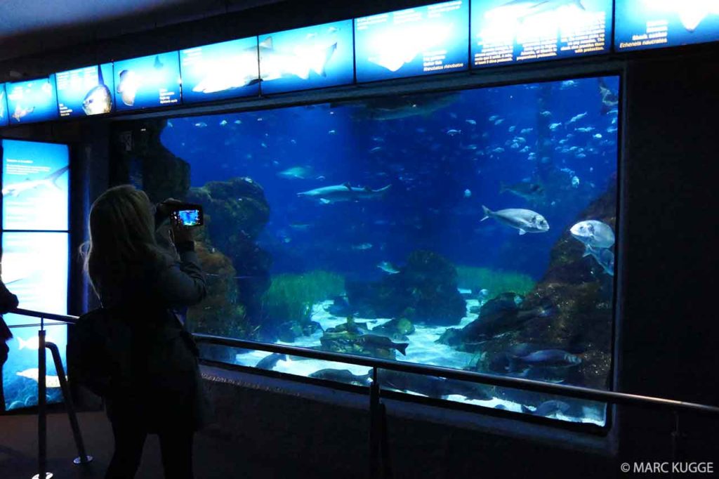 Aquarium de Barcelone: Prix, entrée, horaires & informations