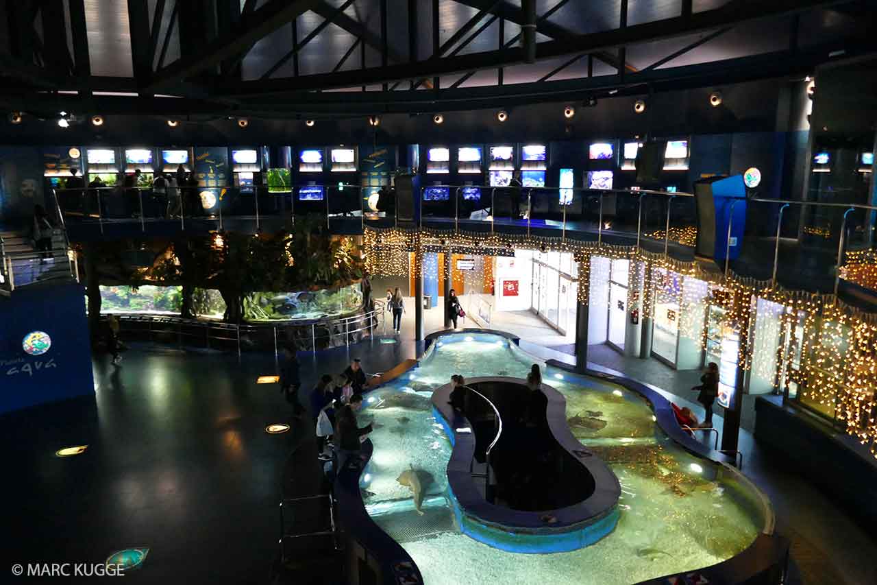 Aquarium de Barcelone Prix, horaires & informations