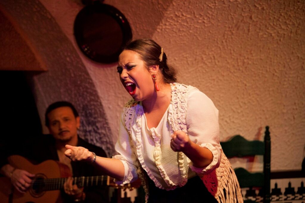 La magie d'un spectacle de flamenco en direct